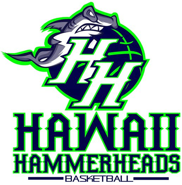 Hawaii Hammerheads 2016-Pres Alternate Logo iron on transfers for T-shirts